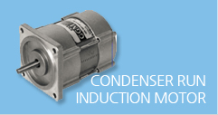 CONDENSER RUN INDUCTION MOTOR