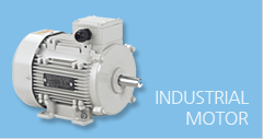 INDUSTRIAL MOTOR