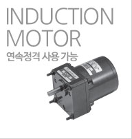 INDUCTION MOTOR