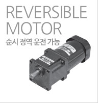 REVERSIBLE MOTOR