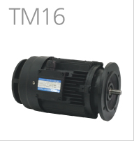 TM16