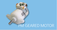 PM GEARED MOTOR