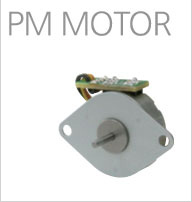 PM MOTOR